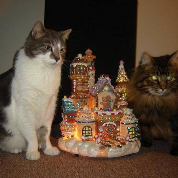 Meet your Posher, Shelly - Picture 1 of 1